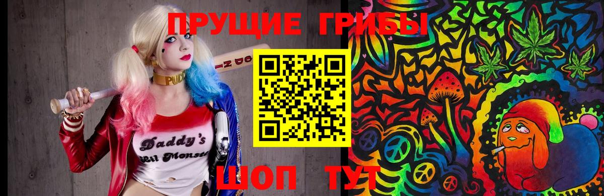 Галлюциногенные грибы Psilocybine cubensis Рыбинск